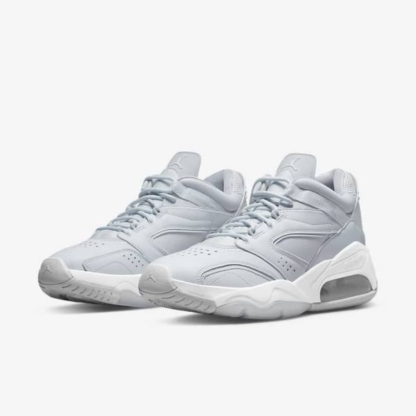 Men's Nike Jordan Point Lane Sneakers Platinum / White / Grey | NK960UEQ