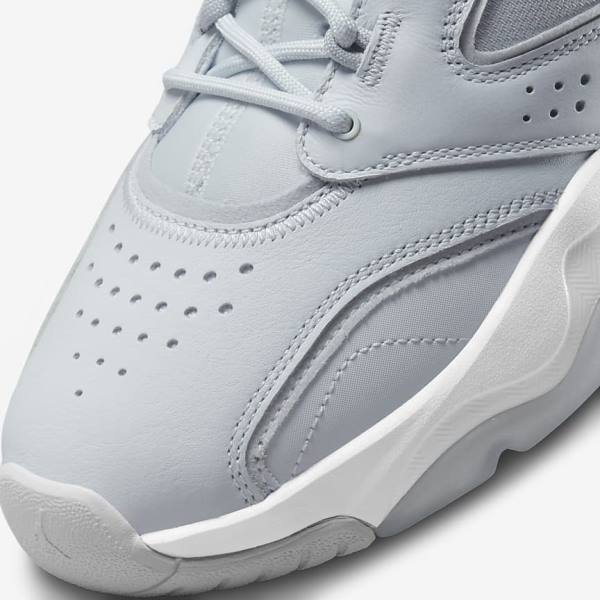 Men's Nike Jordan Point Lane Sneakers Platinum / White / Grey | NK960UEQ