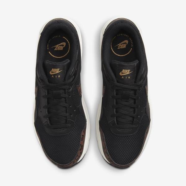 Women's Nike Air Max SC Sneakers Black / Metal Gold / Brown | NK657MJQ