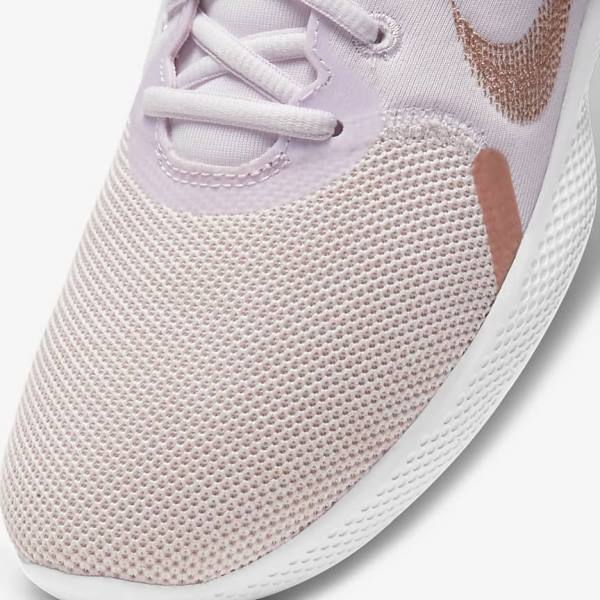 Women's Nike Flex Experience Run 10 Road Running Shoes Light Purple / White / Metal Red Brown | NK187GWB