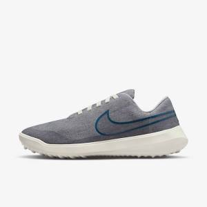 Men's Nike Victory G Lite NN Golf Shoes Grey | NK135FWY