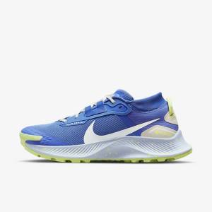 Women's Nike Pegasus Trail 3 GORE-TEX Waterproof Trail Running Shoes Blue / Brown / Grey | NK758NKS